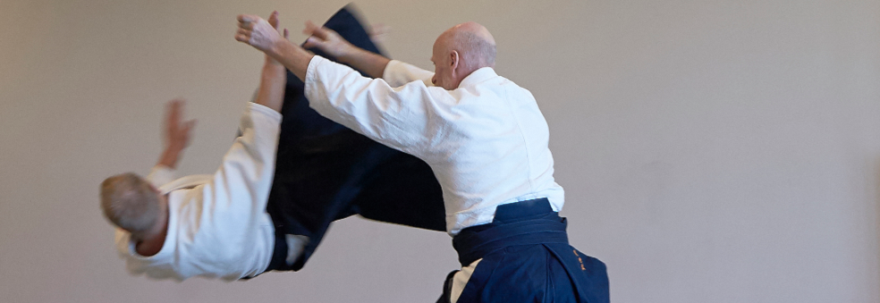 TSI Aikido